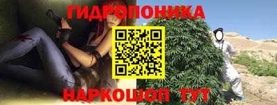ПСИЛОЦИБИНОВЫЕ ГРИБЫ Апшеронск