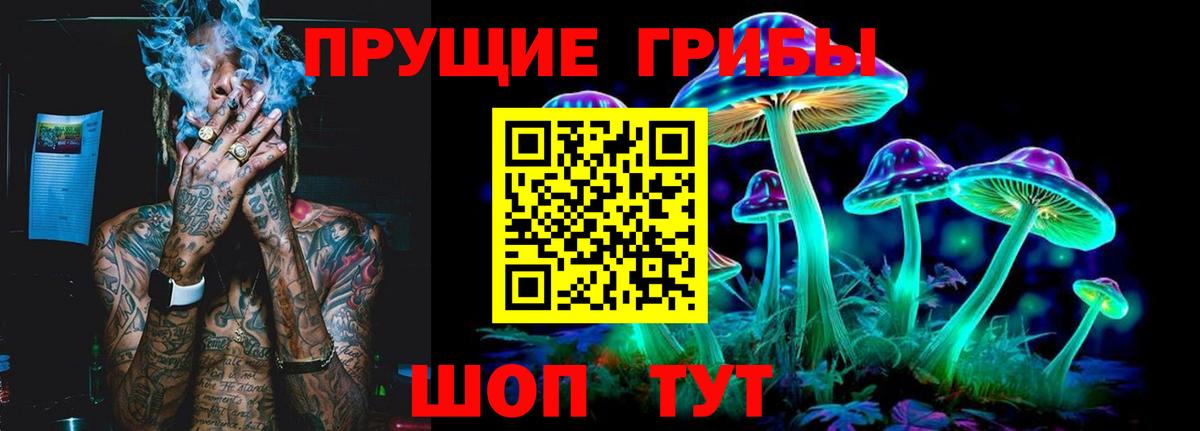 Псилоцибиновые грибы Psilocybe Ахтубинск